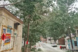 实拍河南农村夏天“飘雪”景象，罪魁祸首竟是这种植物图片