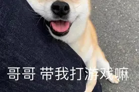 表情包|哥哥带我打游戏嘛图片