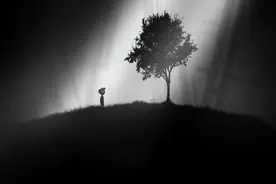 这款寻找姐姐的单机手游，画面只有黑白灰三色，但内容却征服了我图片