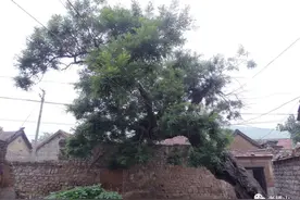 博山先祖何处来图片