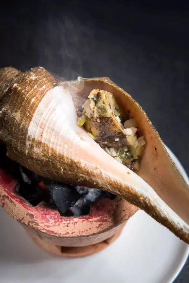 花胶响螺肉怎么样做法 2026年花胶响螺肉汤的作用