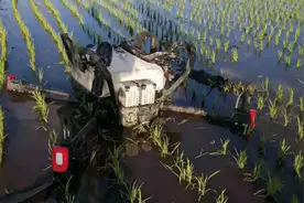 P80农业无人机频炸机？先看看你的操作是否规范图片