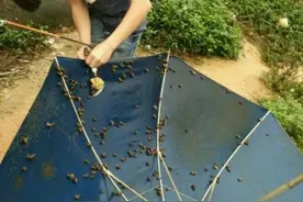 钓鱼的时候除了鱼你们还钓上来过哪些东西图片