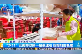 双十一包裹：凌晨一点就到货视频封面