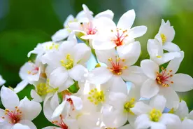 爱拿自己跟恋人的前任作比较的星座，是争强好胜，还是不够自信？图片