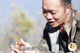 农村小伙去深山老林摘野生果子，不知道能有意外收获吗？视频封面