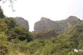 【老兵故事】邯郸涉县退役老兵回家创业，誓把荒山变绿野图片