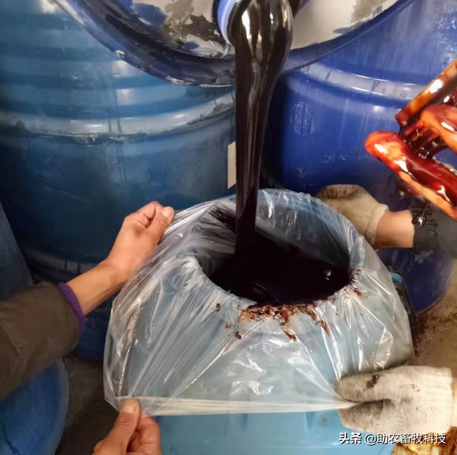 甘蔗糖蜜在猪营养中的应用，可以代替大量能量饲料降低部分成本