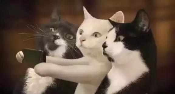 诱导消费、缺斤少两…广西消费维权十大案例公布，你踩雷了么