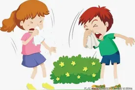 过敏季如何舒适安稳，明确规避过敏原是关建图片