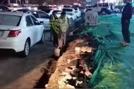 拔除废旧电线杆，践行两邻新理念图片