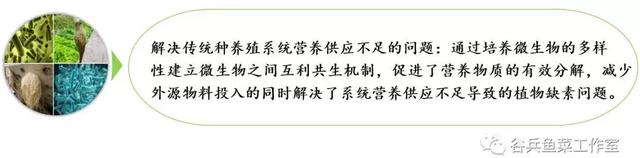 鱼菜共生的痛点—技术
