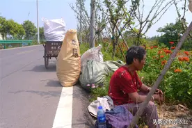 曾被誉为植物油中的“茅台”，油用牡丹泡沫破裂，是炒作还是骗局图片
