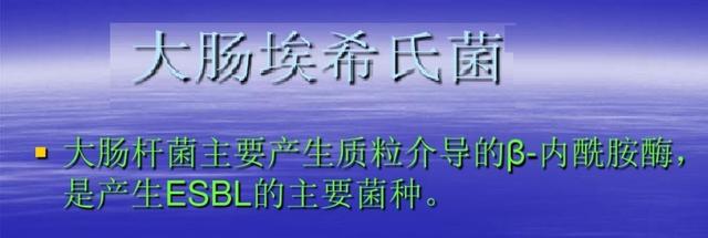 舌尖上的安全（8）——解读牛奶中的β-内酰胺酶