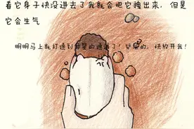 公园遛鼠，它居然想打洞回母星 我画的我家6仓鼠的漫画图片