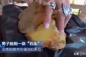 沙滩上捡到的恶臭石头竟价值300多万图片