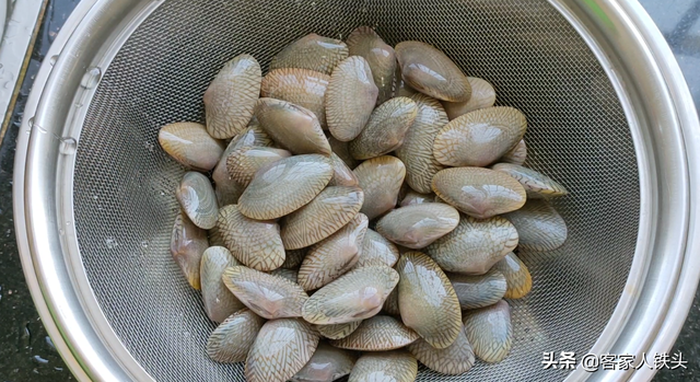 鸡肉加2斤花甲这样做一锅，汁鲜肉香又嫩滑入味，好吃到不想放筷
