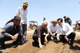 济南章丘龙山街道：平陵城龙山贡米基地迎来首席农博士图片