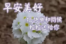 美女表情包｜人生的三把钥匙：接受、改变、离开图片