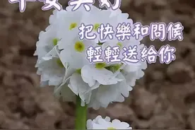 美女表情包｜人生的三把钥匙：接受、改变、离开图片