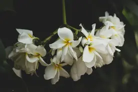真正放下一个人，不是拉黑，也不是删除，而是这样子图片