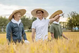种地的周杰捐赠两万斤大米，他不是明星，只是一个农业生产者图片