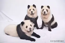 外地人对四川常见的十大误解，如何才能正确地解释？图片