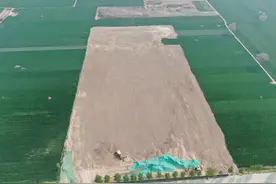 盗采一亩，获利8万：“土沙盗采”威胁黄河故道生态安全图片