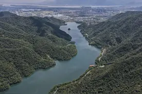 点缀美丽乡村！肇庆这条“宝藏级”公路你一定不能错过！图片
