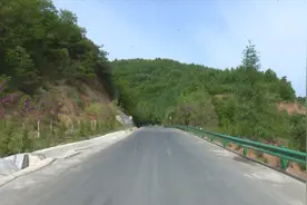 秦州区齐寿镇：花季好酿蜜   “甜蜜事业”富蜂农图片