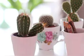 12星座想和你分手的征兆是什么？不懂你就真的“凉凉”了图片