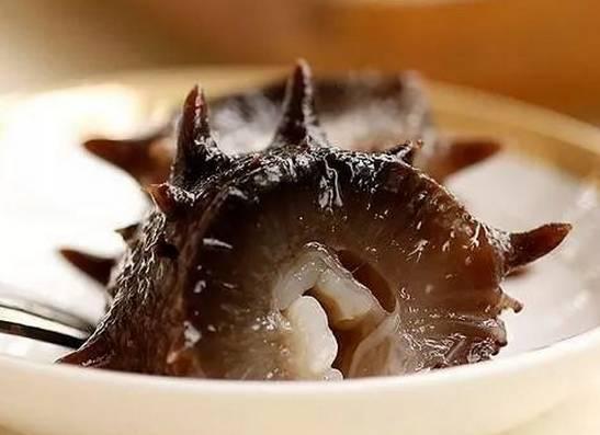 海参怎么看熟没熟 2026年海参怎么看熟没熟透