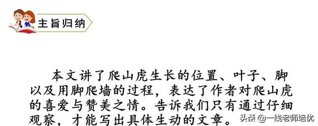 知识点+同步练习题 部编版四年级语文上册 10 爬山虎的脚