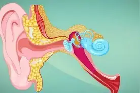 耳朵流水，以为是中耳炎，竟是瘤子在作怪图片