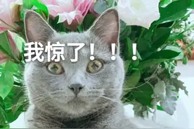 法律咨询：我朋友分手后，前男友不断骚扰及诽谤她和周围人，高达数百次，该怎么办？图片