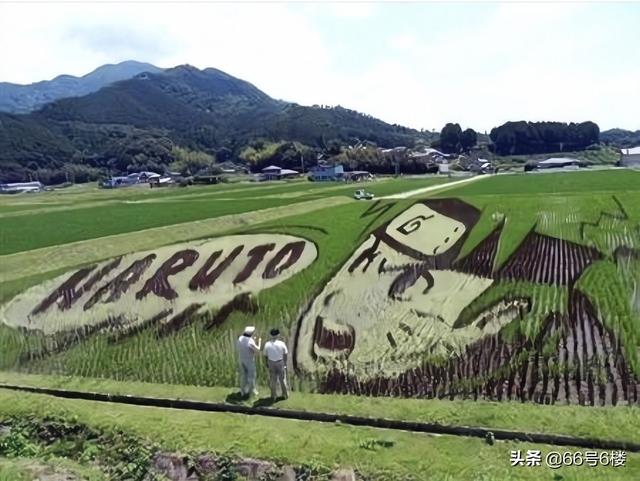 火影忍者奥特曼游戏（把火影忍者奥特曼种到稻田里）