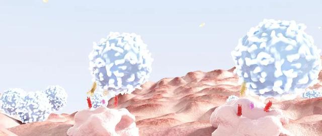 食管鳞癌非角化型