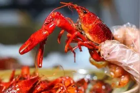 家禽海鲜的这些部位，鸡头看着吃，鱼胆不明目，诱人虾黄下口前请三思……图片