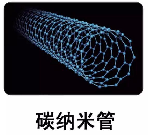 神奇的碳元素-碳基生命