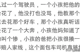 我的手工小提琴，被亲戚家熊孩子弄坏了，故意的，当场让他赔80万图片
