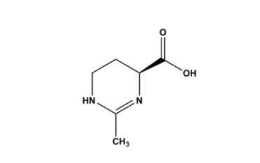 资深成分党口中万能的依克多因，到底是真香还是炒作？