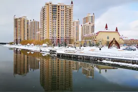 第一次亲眼目睹的抓捕图片