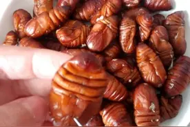 同是蚕蛹，黑的和黄的哪种好吃？大厨教你3招，弄懂后不再被忽悠图片