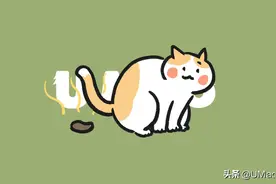 猫屎为什么辣么臭？终极解答来了图片