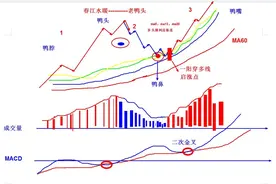 春江水暖—老鸭头图片