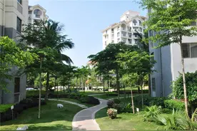 2孩不够，还得生3孩？专家新建议来了，你愿意生吗？图片