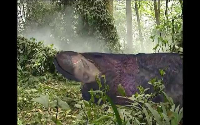 西游记美猴王降妖（西游记中孙悟空降妖最容易的一次）