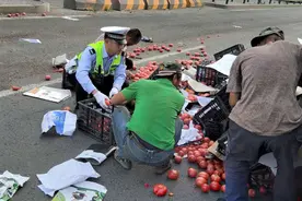 看见散落一地的西红柿，包头交警分分钟化身“搬运工”图片