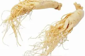 人参虽好，但不宜和这3种食物一起吃，否则等于白吃图片
