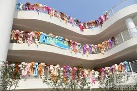 重庆：布偶熊“爬”栏杆成美丽风景线图片